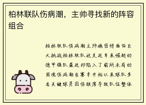 柏林联队伤病潮，主帅寻找新的阵容组合
