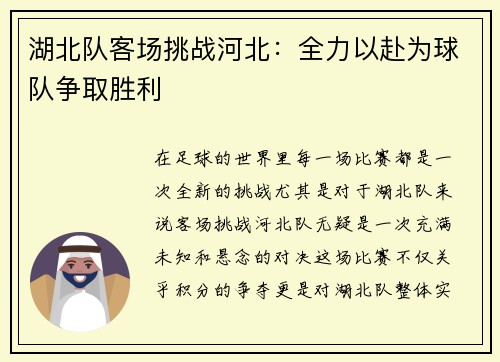 湖北队客场挑战河北：全力以赴为球队争取胜利