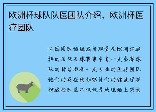 欧洲杯球队队医团队介绍，欧洲杯医疗团队