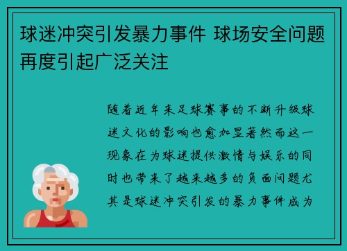 球迷冲突引发暴力事件 球场安全问题再度引起广泛关注